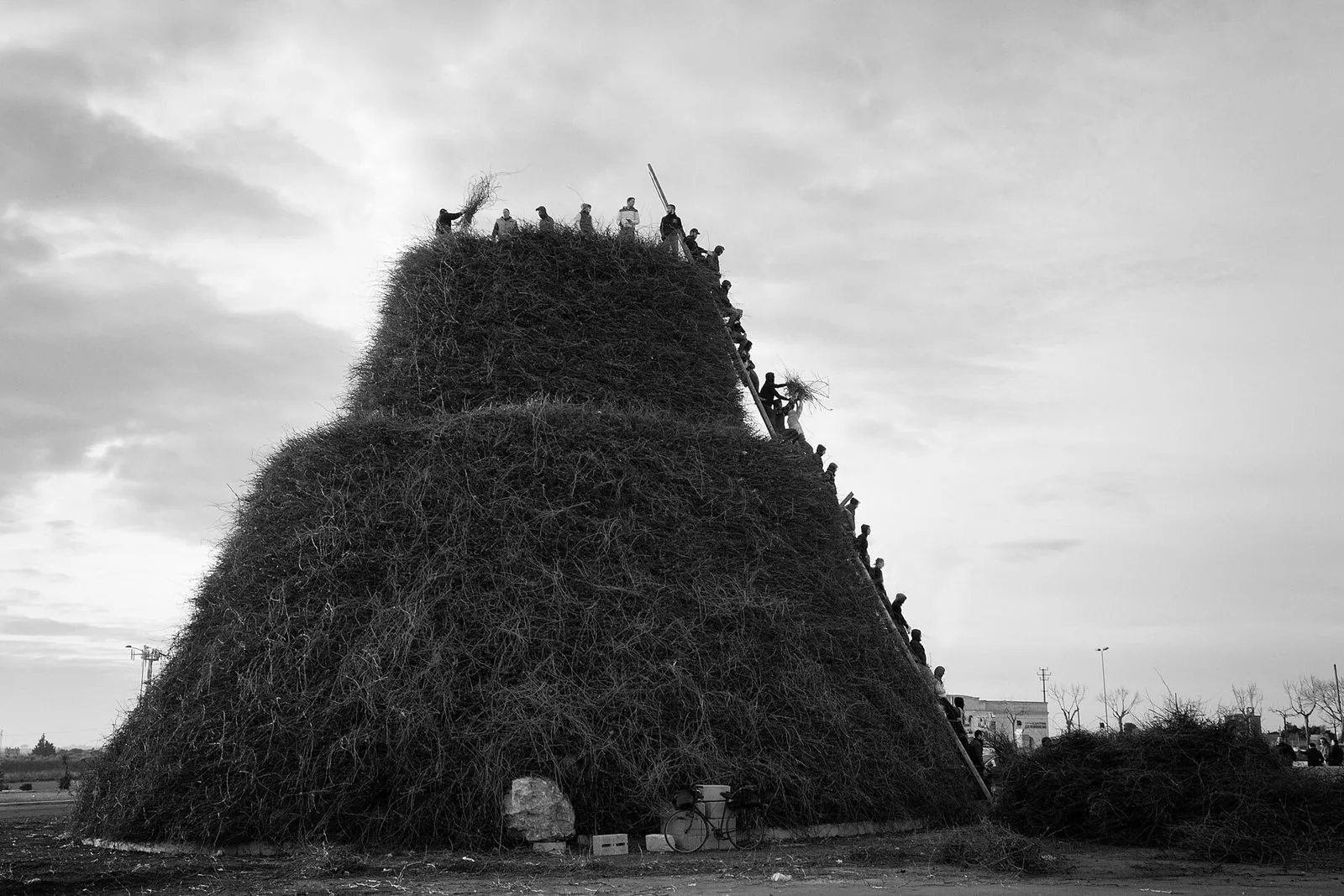 La F&ograve;cara di Novoli, il grande fal&ograve; di Sant'Antonio Abate