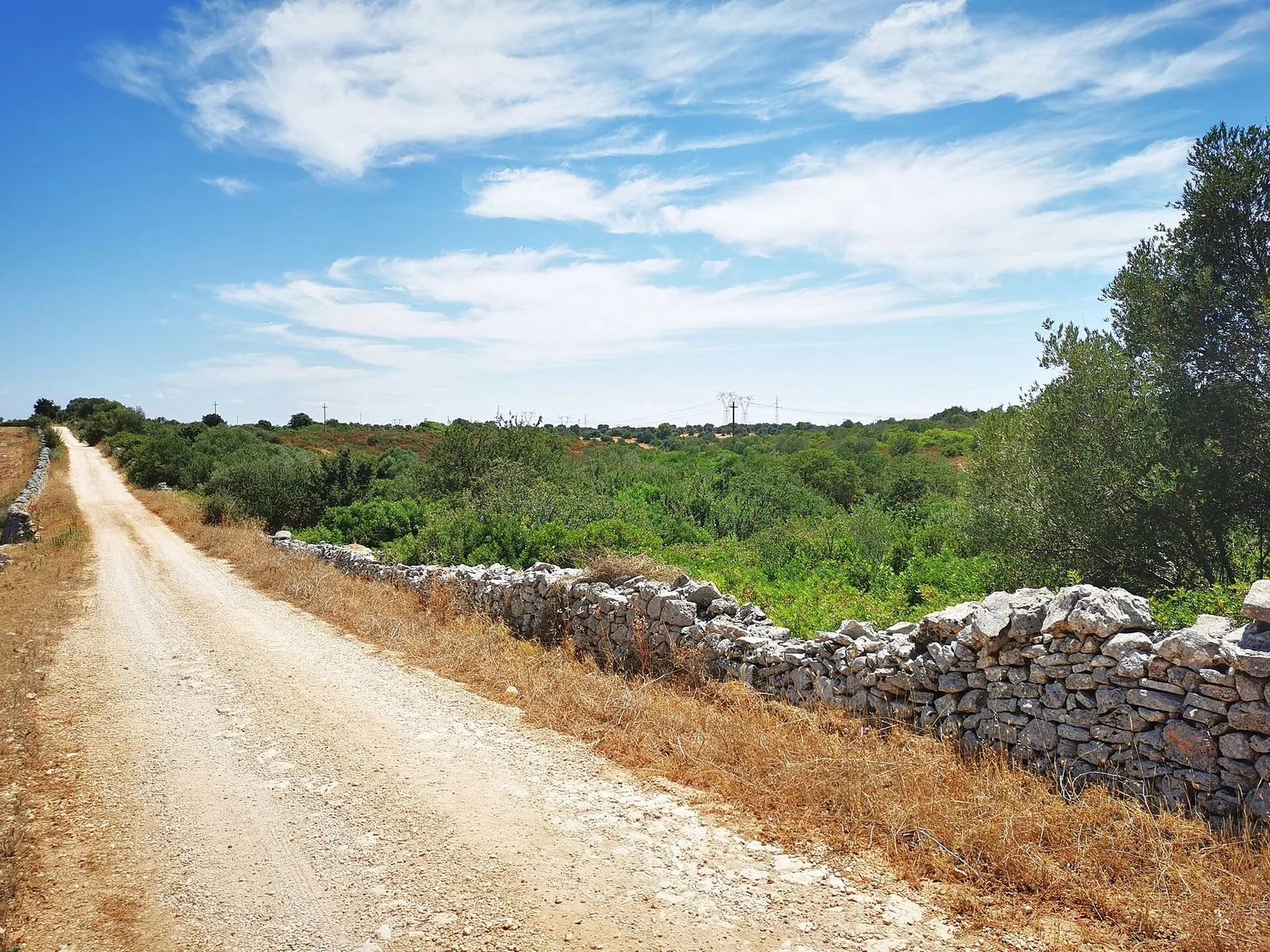 Muoversi nel Salento: perch&eacute; serve l'auto