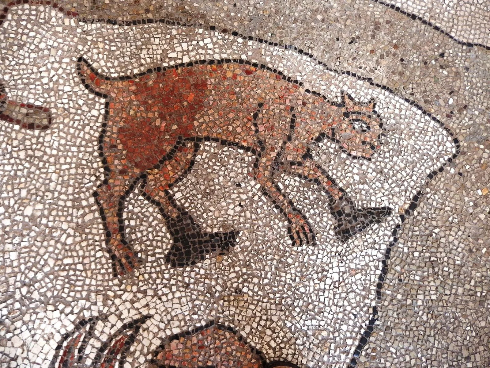 Otranto: il castello aragonese e il mosaico della Cattedrale