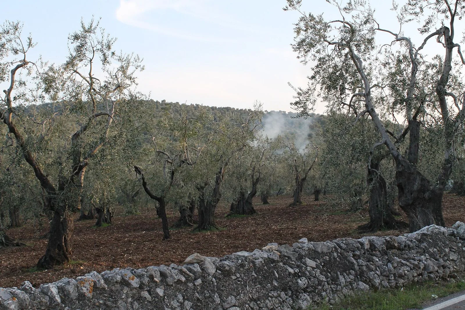 Il Salento fuori stagione: primavera e autunno
